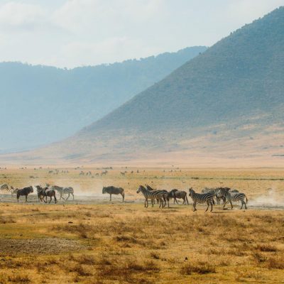 Arusha National Park