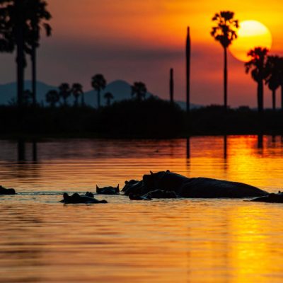 Nyerere National Park