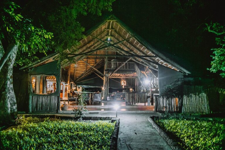 Day 1: Arrival in Kilimanjaro / Transfer to Marangu Gate