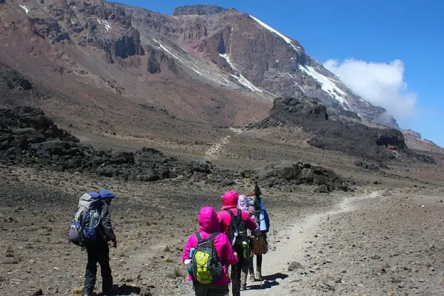 Rongai Route – 8 Days / 7 Nights Kilimanjaro Trek