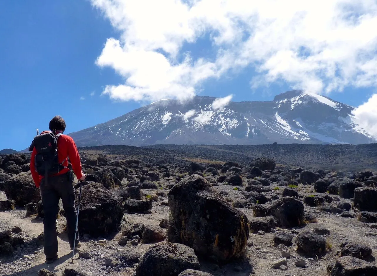Day 6: Summit Day - Barafu Camp to Uhuru Peak to Mweka Camp