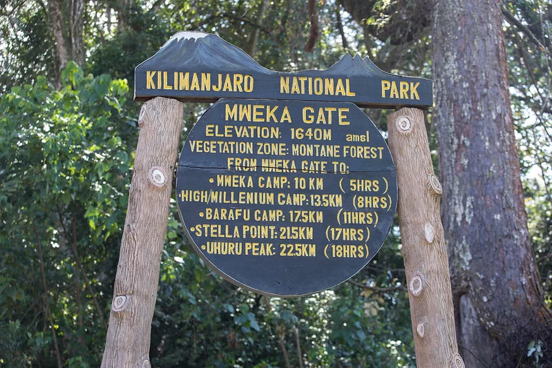 Day 7: Mweka Camp to Arusha